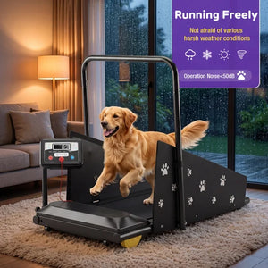 A golden retriever dog walks on a black pet treadmill in a cozy living room. The treadmill has a digital control panel and black side panels with white paw prints at Pet Servo