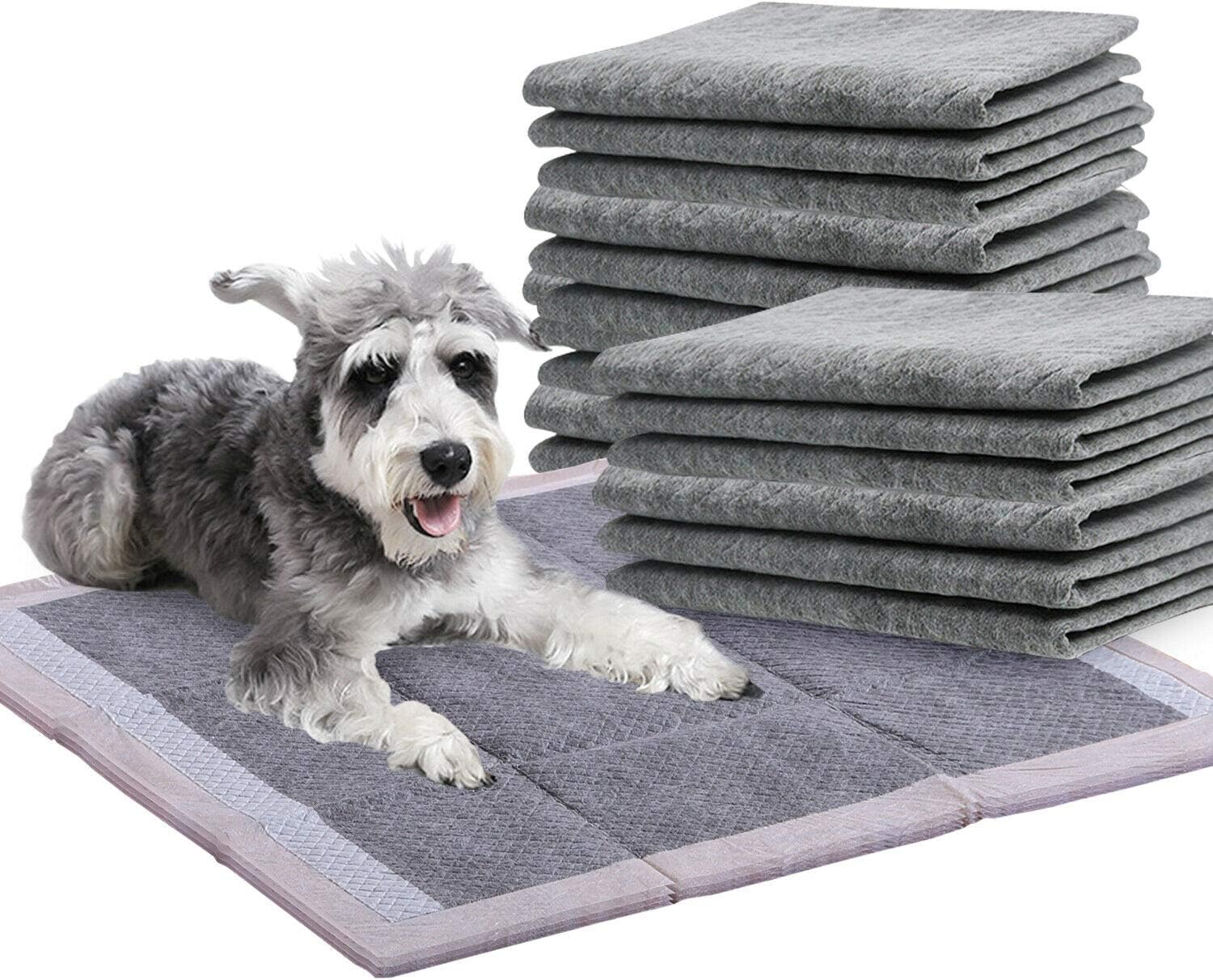 PaWz 200 Pcs 60x60cm Charcoal Pet Puppy Dog Toilet Training Pads Ultra Absorbent Large Disposable Petservo Pet Servo