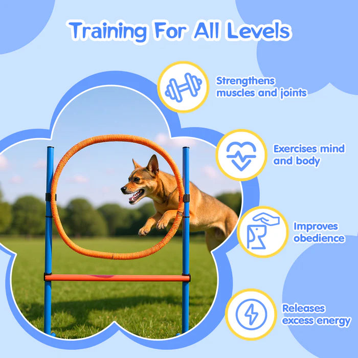 Dog jumping over an obstacle with training benefits displayed on a blue background