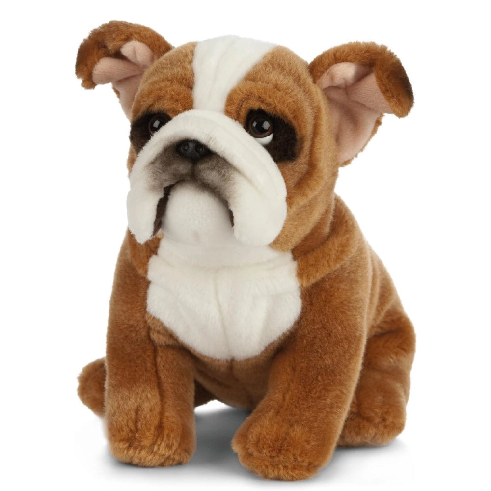 Living Nature Soft Toy - knuffeldier Franse bulldog (20cm), onbekend
