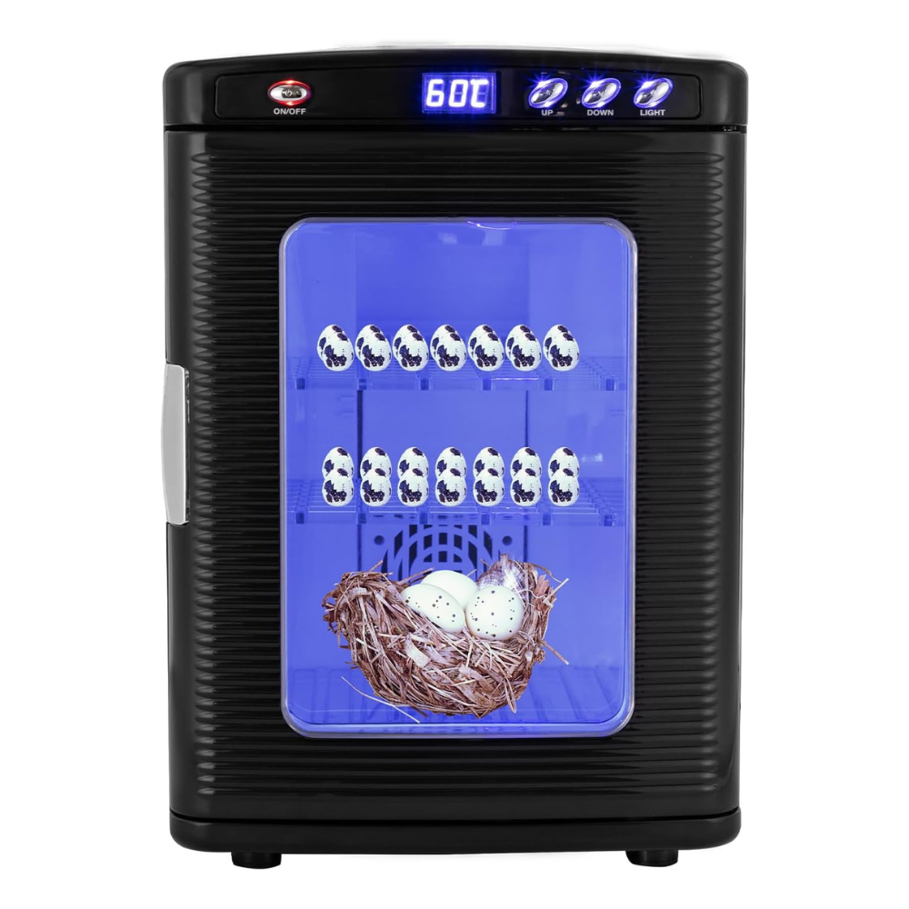 A black egg incubator with a digital temperature display showing 60°C and four control buttons. The front features a large blue-tinted glass window displaying illustrated eggs and a nest, with a silver handle on the left side.