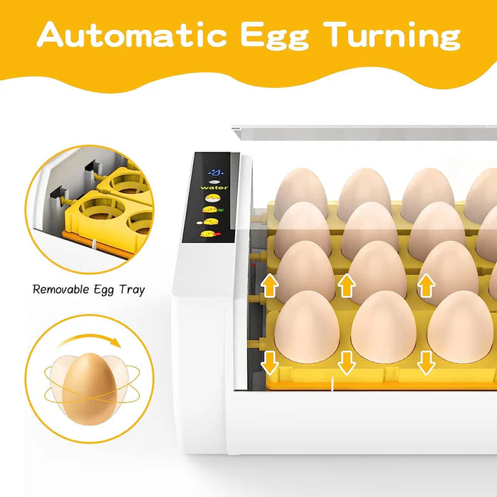 Advwin - 24 Egg Incubator Automatic Turning