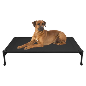 A brown dog lying on a black elevated pet cot with black metal legs, photographed against a plain white background.