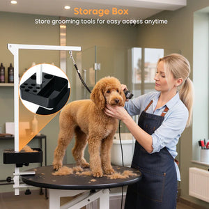 Woman grooming a dog on a grooming table with a storage box for tools in the background at Pet Servo