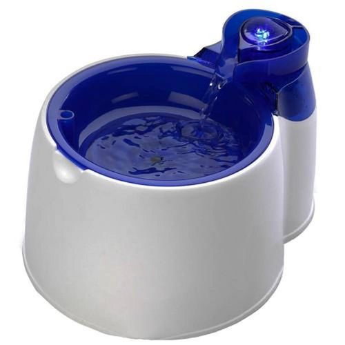 All For Paws - 2L Fountain Fresh Pet Water Filter Bowl - Interactive Dog Cat Purifier
