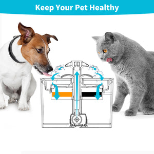 Dog and cat looking at a diagram of a pet health system with text 'Keep Your Pet Healthy' at Pet Servo