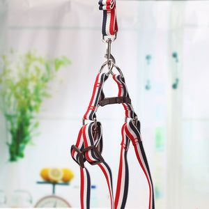 Dog harness with striped design on a blurred background at Pet Servo