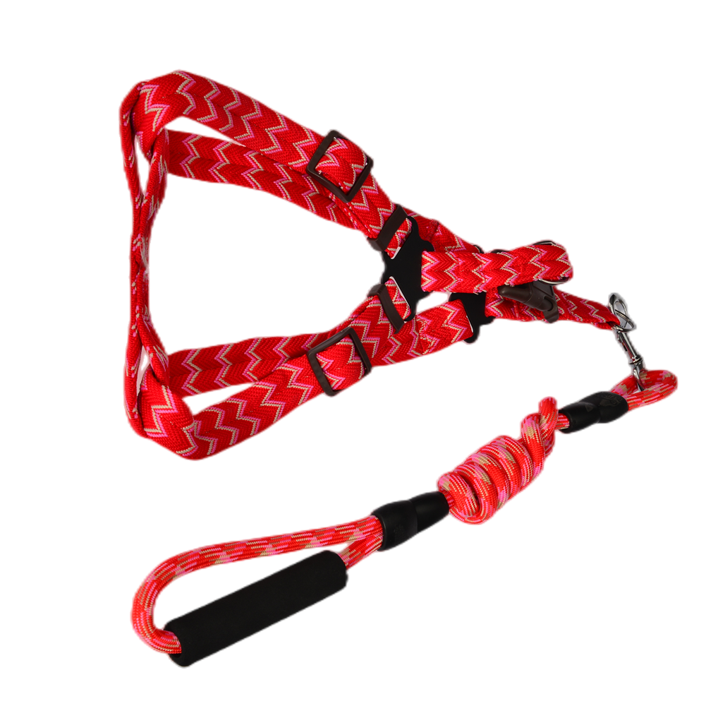 YES4PETS 2X Medium Pet Harness & Leash Set - 5 Color Option at Petsrvo