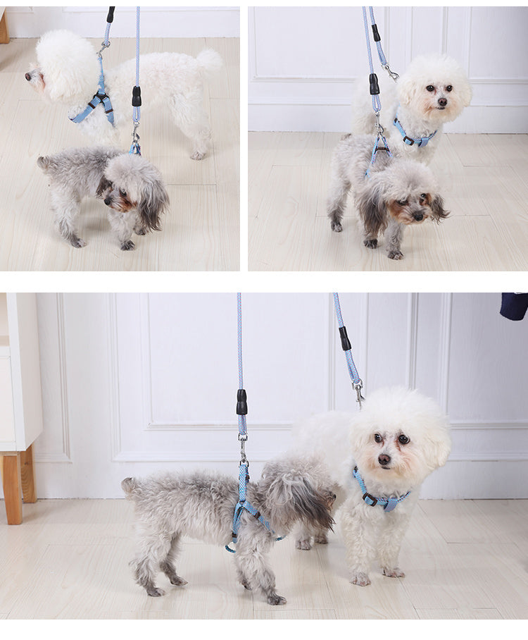 YES4PETS - 2 X Medium Pet Dog Cat Puppy Kitten Rabbit Dog Harness Collar leash lead 3 Color