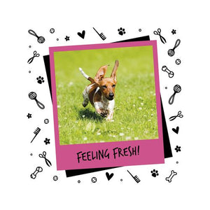 Bugalugs - 200ml Baby Fresh Dog Cologne - petservo