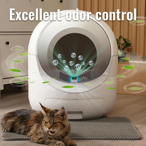 Pet odor control device with a cat sitting nearby in a home setting