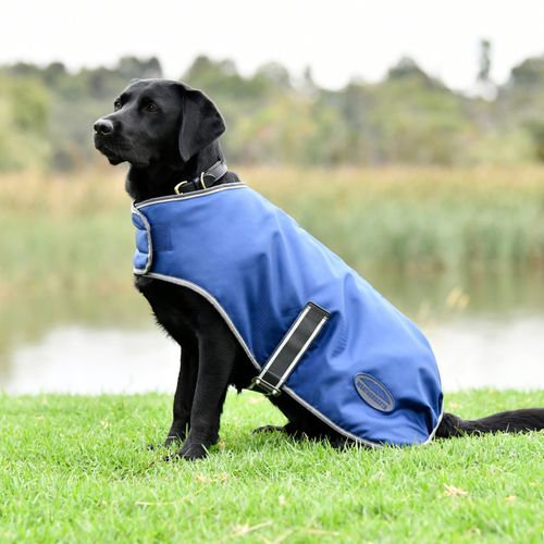 WeatherBeeta - ComFiTec Windbreaker Free Dog Coat 40cm - Dark Blue/Grey/White