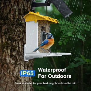 Shop Advwin Smart Bird Feeder with Camera AI Recognition waterproof for outdoor at Pet Servo