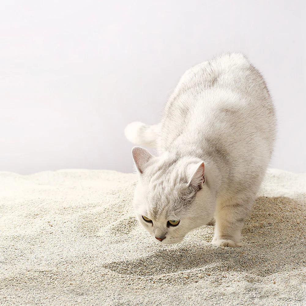 CATLINK - USA Nudge Bentonite Cat Litter Mars Stone 4.5kg