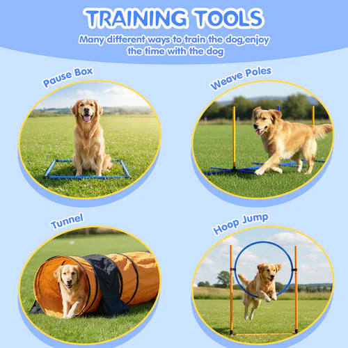 Dog training tools with images of a dog using a pause box, weave poles, tunnel, and hoop jump on a grassy field at Pet Servo