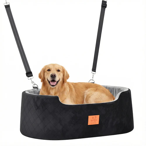 Dog sitting in a black pet seat with straps on a white background at Pet Servo