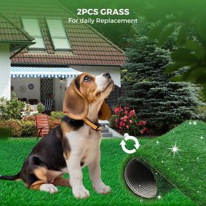 A beagle puppy wearing a tan collar sits on bright green artificial grass in a backyard scene. Text at the top reads '2PCS GRASS For daily Replacement,' and an inset shows the underside of the grass mat with a circular arrow icon at Pet Servo