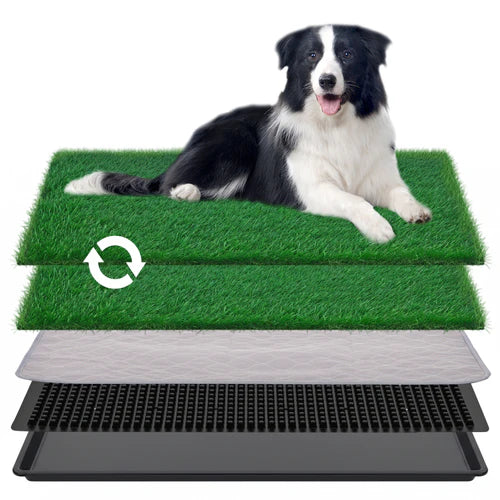 Dog lying on a green artificial grass pad with a white background at Pet Servo