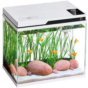Fish tank with plants, rocks, and fish on a white background at Pet Servo