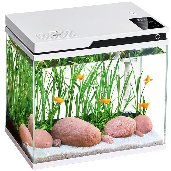 Fish tank with plants, rocks, and fish on a white background at Pet Servo