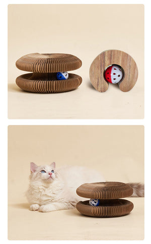 Cat toy with cardboard shell and rotating wheel, featuring a cat interacting with it at Pet Servo