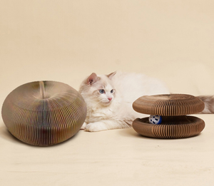 Cat playing with a cardboard toy on a beige background at Pet Servo