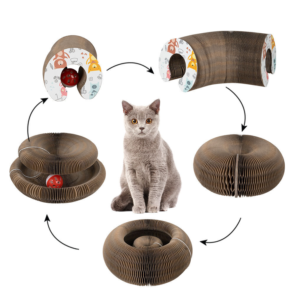 Cat sitting among various stages of a cardboard cat toy with different designs at Pet Servo