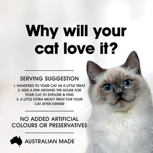 Fussy Cat - 1kg Fish Crunchers Cat Treats - petservo