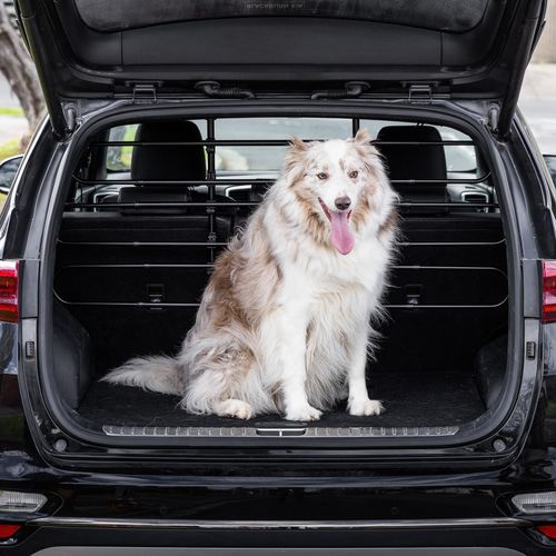 Happy Tails - Pet Car Guard