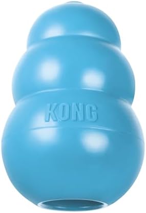 Blue KONG dog toy on a white background at Pet Servo
