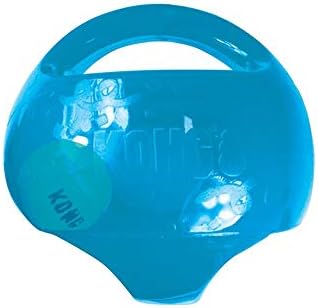 A translucent blue Kong dog toy ball with a handle, featuring embossed cartoon graphics and a visible Kong logo on the side at Pet Servo