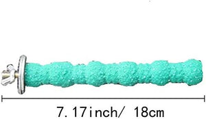 Teal sponge with a metal ring on a white background, showing measurements at Pet Servo