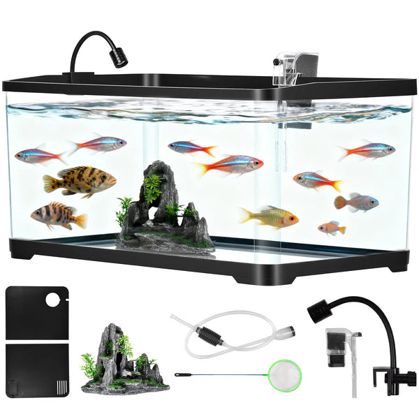 Fish tank setup with fish, rocks, and aquarium accessories on a white background