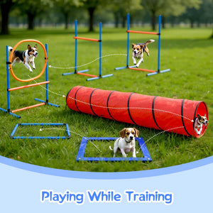 Dogs playing and training with an agility course on a grassy field.