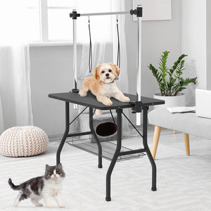 Pet grooming table with a dog and cat in a home setting