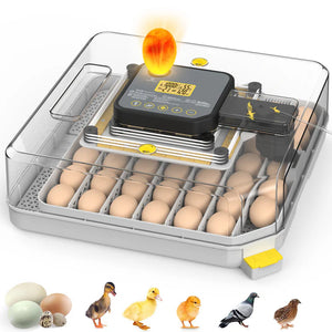 Egg incubator with digital display and eggs, featuring baby chicks and birds at the bottom at Pet Servo
