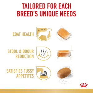 Royal Canin - Dog Maltese Adult Dry Food 1.5kg - Petservo