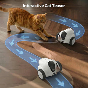 Cat playing with an interactive cat teaser toy on a wooden floor at Pet Servo