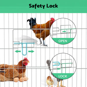 Cage with safety lock mechanism for chickens, showing open and locked positions.