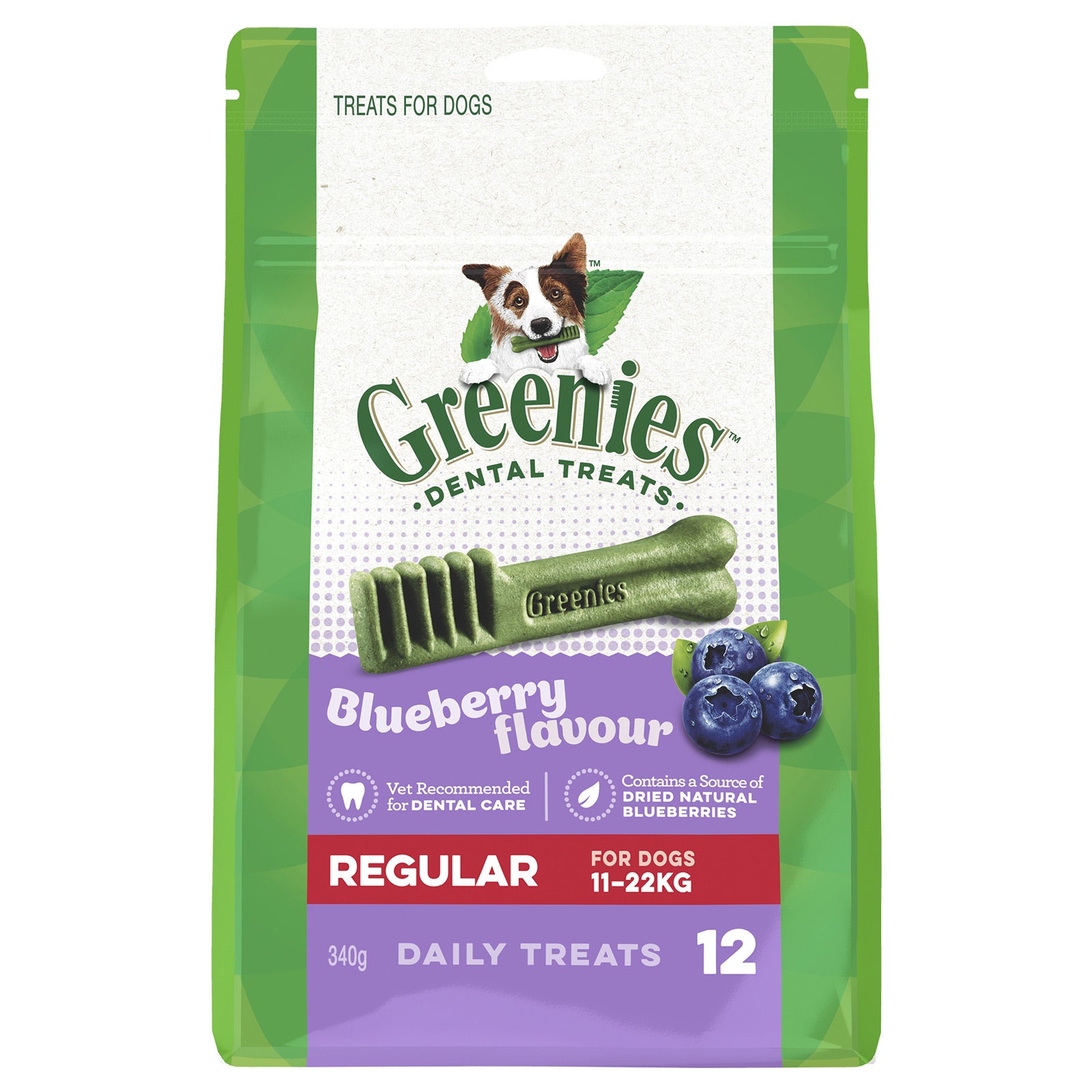 Greenies dental treats for 11-22kg in 340gm packaging for dogs with blueberry flavor on a white background at Pet Servo