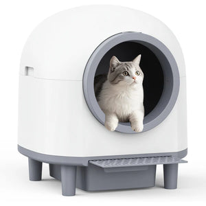 Cat sitting inside a modern litter box with a white and gray design at Pet Servo