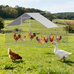 Outdoor chicken coop with chickens and a goose in a grassy field