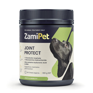 ZamiPet Joint Protect supplement container with a dog on the label