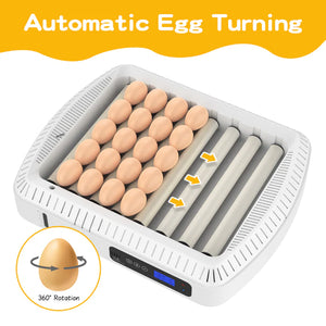 Advwin - 35 Egg Incubator Automatic Turning - Petservo-2
