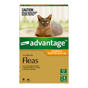 Elanco Advantage flea treatment packaging for kittens and small cats with a cat on the box at Pet Servo