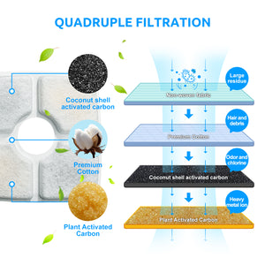 Diagram of quadruple filtration system with labeled components and text at Pet Servo