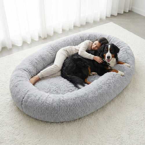 Person lying on a large gray pet bed with a dog inside, in a bright room at Pet Servo