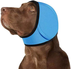 Dog wearing a blue cone-shaped e-collar on a white background at Pet Servo