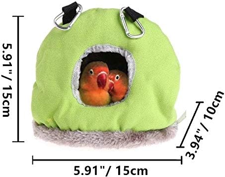 Green bird nest with two birds inside, dimensions displayed on a white background at Pet Servo
