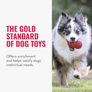 Dog running with a red ball in its mouth, text about dog toys on the left at Pet Servo
